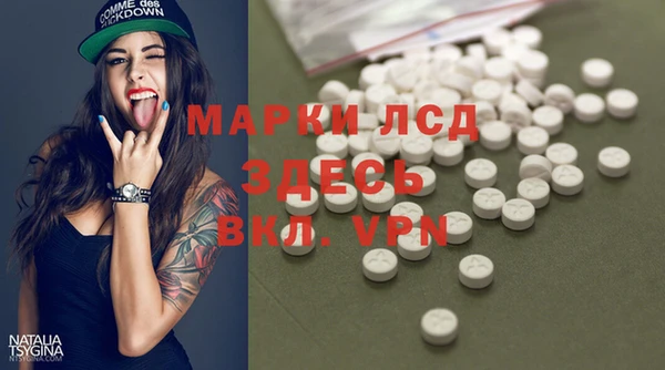 индика Белокуриха