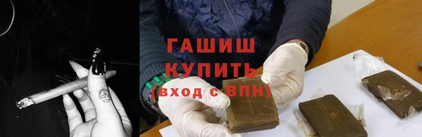 индика Белокуриха