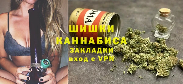 индика Белокуриха