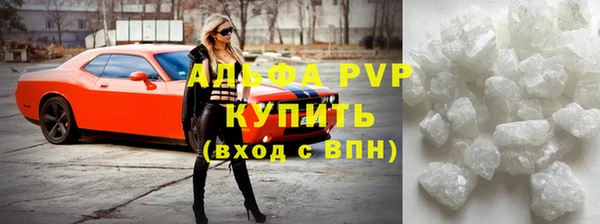индика Белокуриха